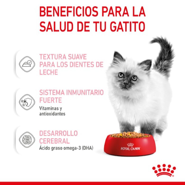 Royal Canin Kitten alimento húmido em gelatina saquetas para gatinhos, , large image number null